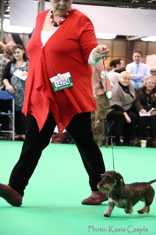 Crufts2011_2 875.jpg